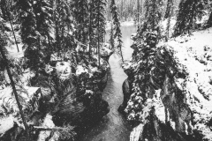 StockSnap_ZKBPKSFZ7I-1